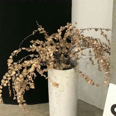 林州FurryQQ群介绍